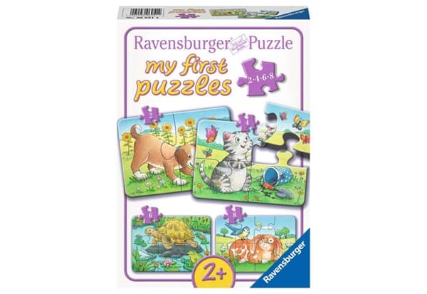 Cute Pets