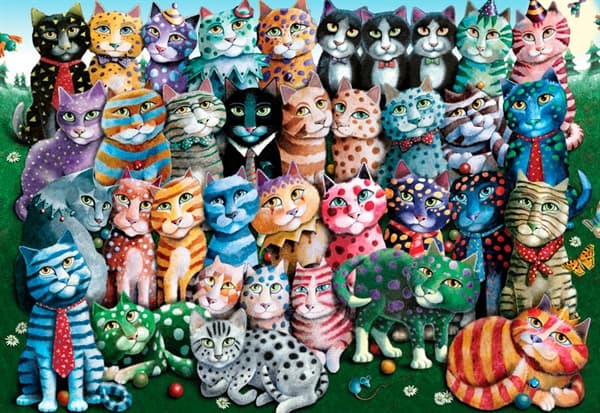 Cat Family