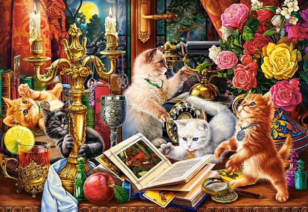 Wizard Kittens