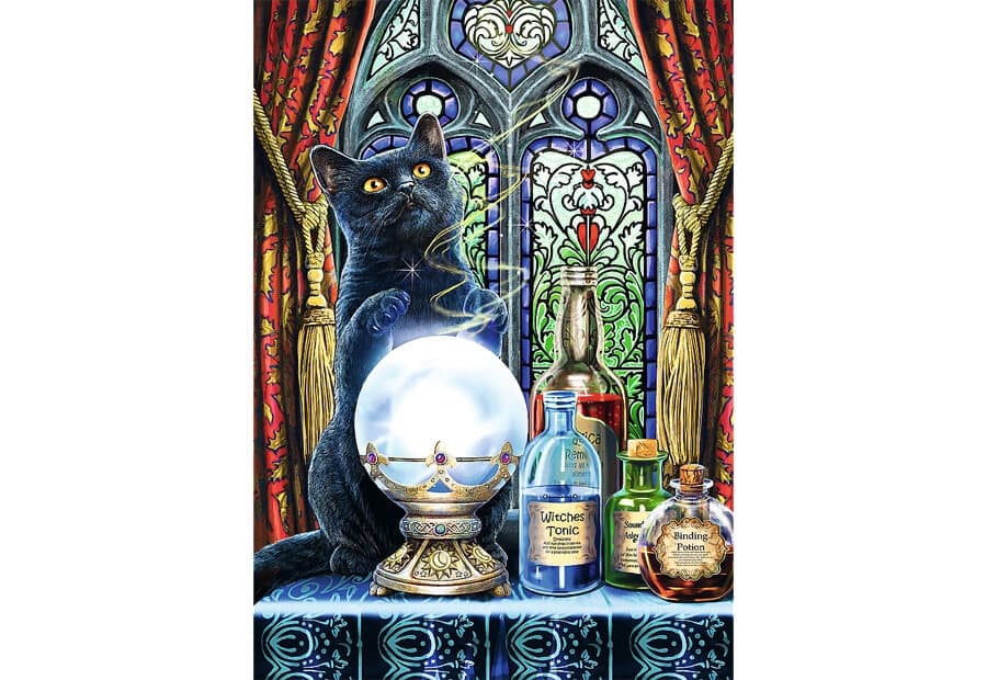 The Witch's Apprentice