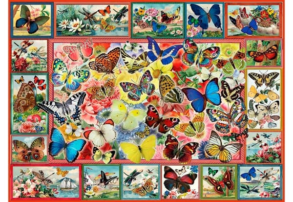 Lots of Butterflies