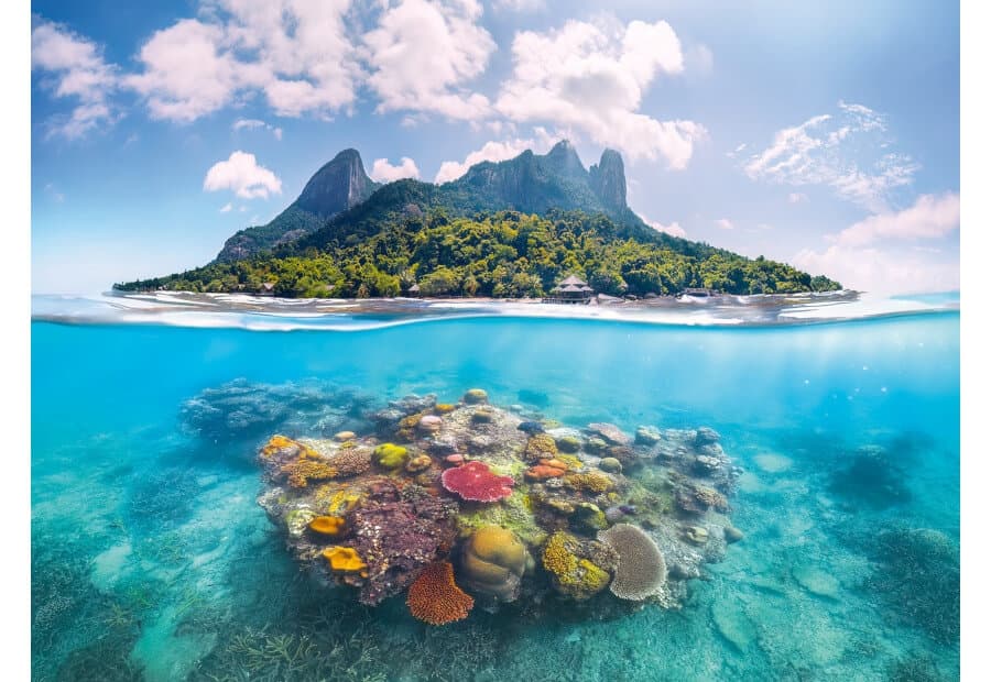 Island Waterscape