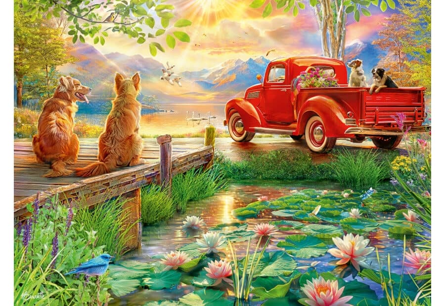 Summer Love