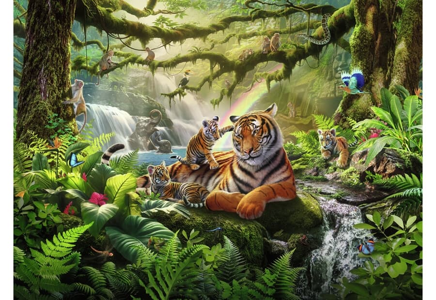Jungle Wildlife Wonders