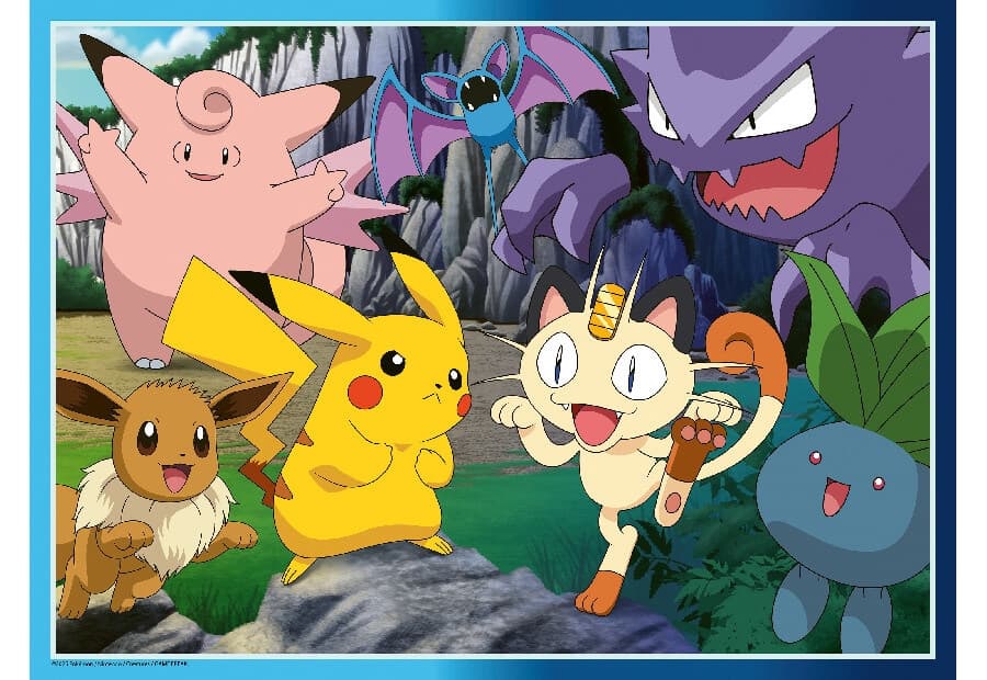 Catch the Pokémon