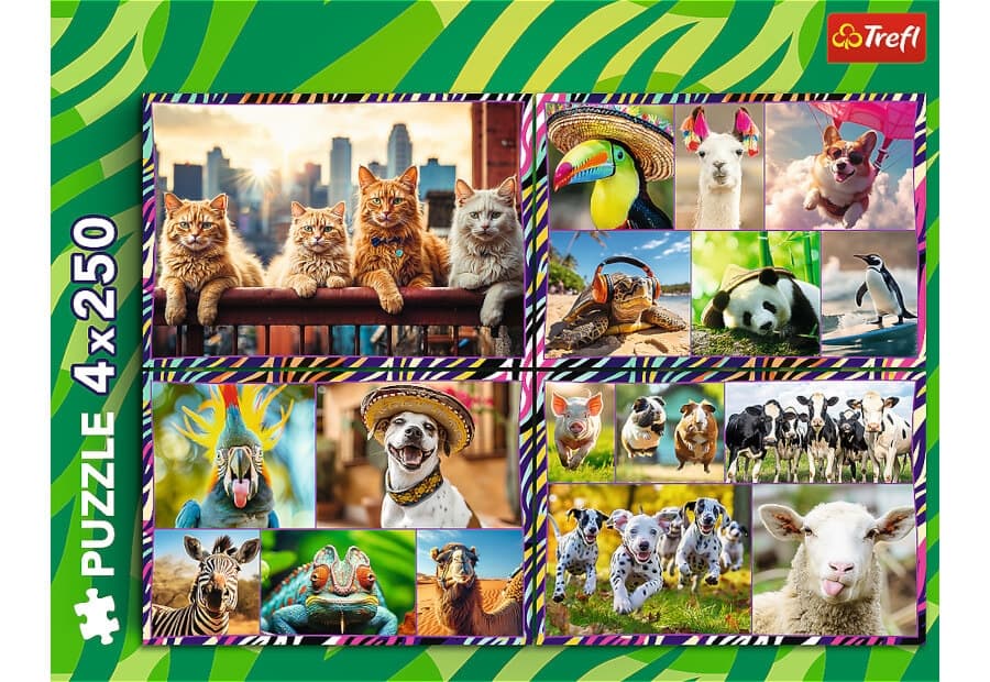 Funny Animals