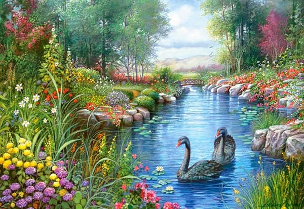 Black Swans
