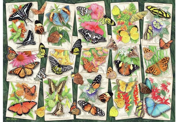 Tropical Butterfly