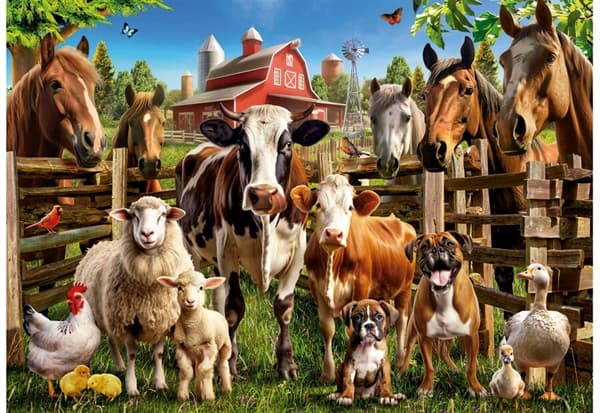 Farmyard Buddies