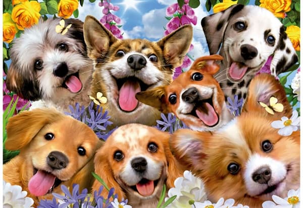 Puppies Selfie