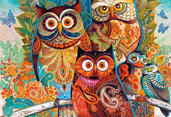Owls