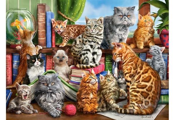 House of Cats