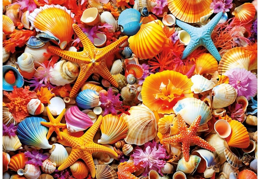 Shell Collage