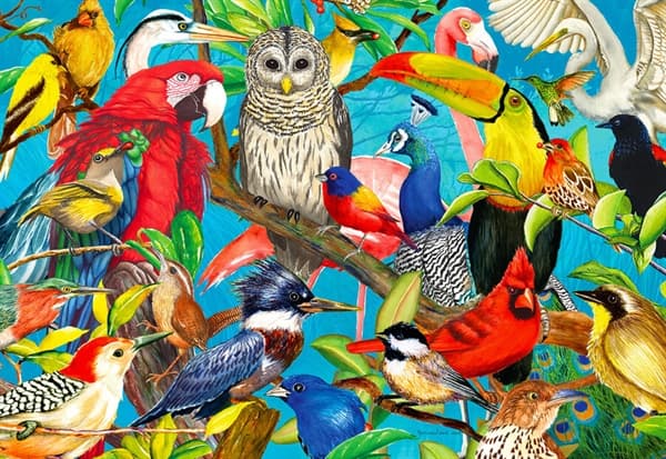 Feathered Frenzy