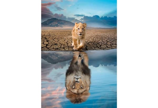 Self Reflection