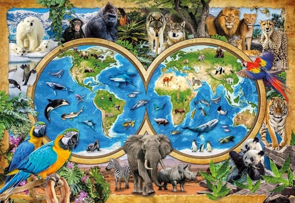 The Wonderful Animal World
