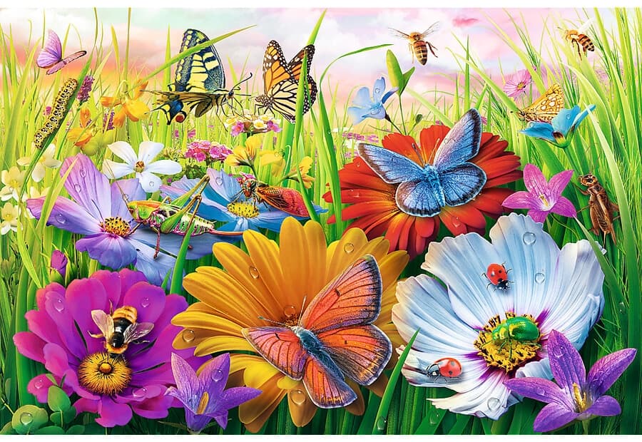 Insects in the Meadow