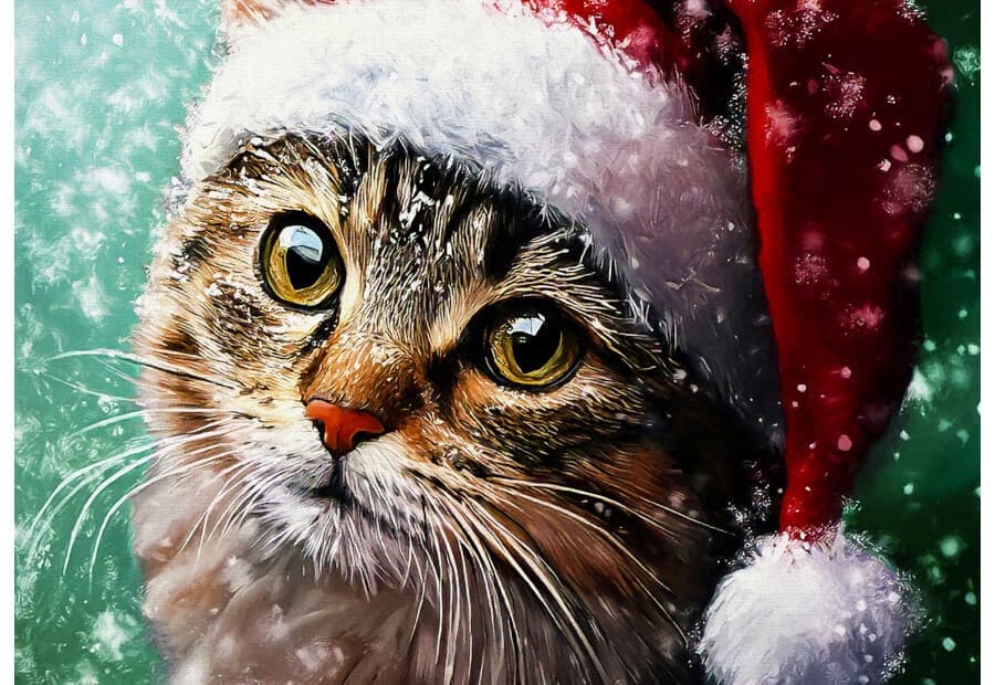 Jojo's First Christmas