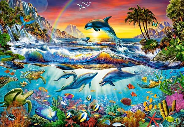 Paradise Cove