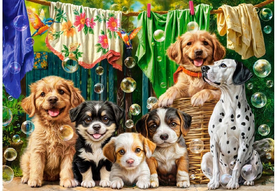 Puppies, Laundry and Bird Antics