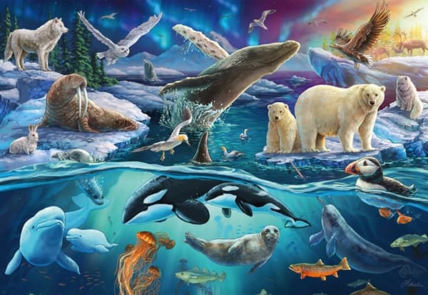 Arctic Animals