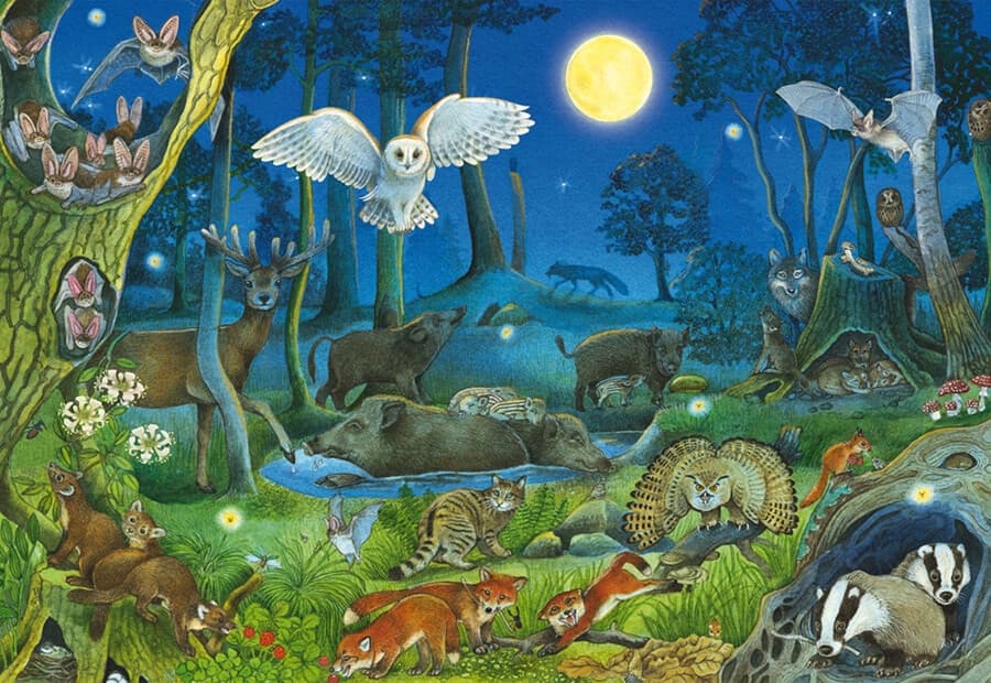 Animals in a Night-time Forest