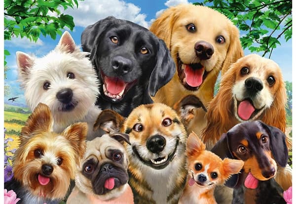 Dog Selfie