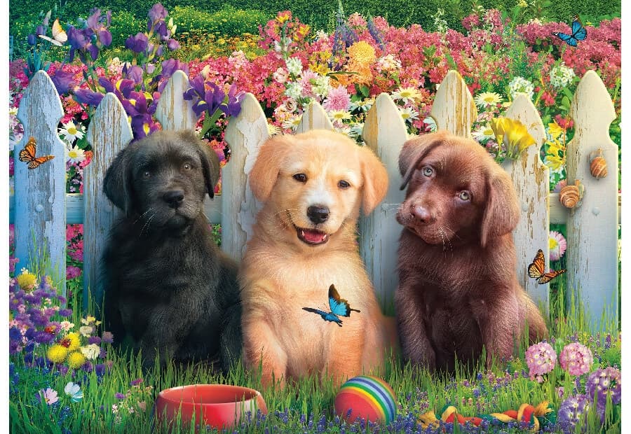 Cute Puppies Scene