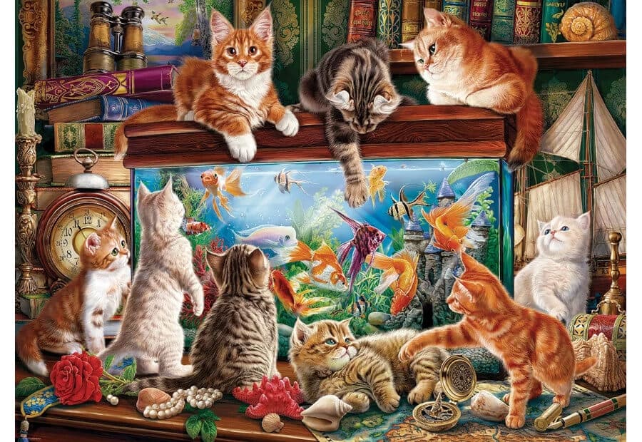 Cats by the Aquarium