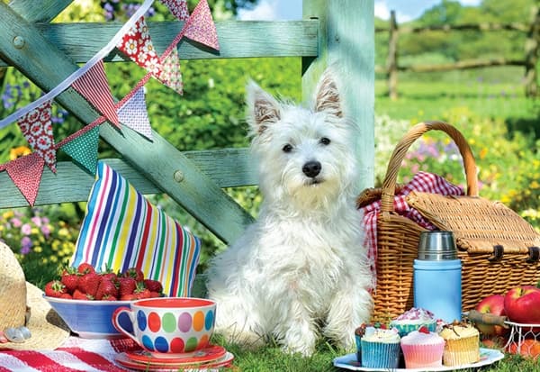 Scottie Dog Picnic