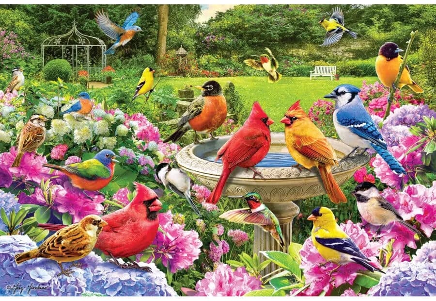 Bird Gathering