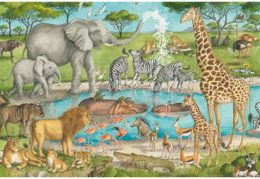 African Wildlife