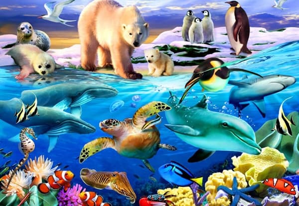 Oceans of Life